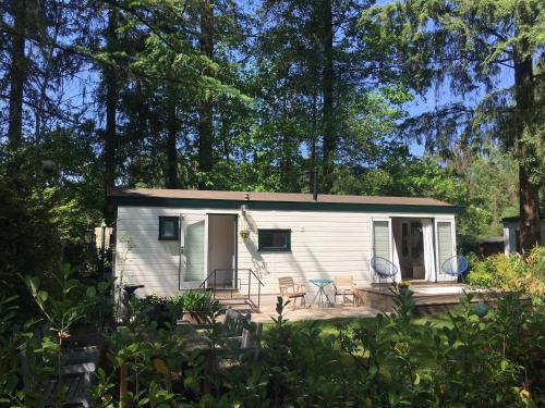 a tiny house in the woods with a porch at Sfeervol vakantiehuisje in bosrijke omgeving in Vorden