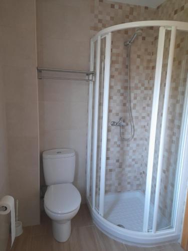 a bathroom with a toilet and a shower with a glass door at SLEEPING PORTOMARIN 2 in Portomarin