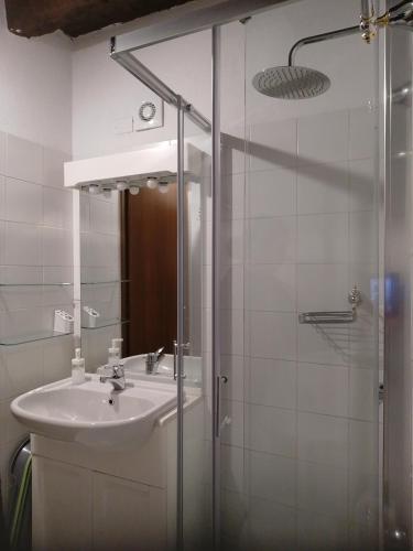 a bathroom with a sink and a glass shower at Casa Sasso in Tavernola Bergamasca