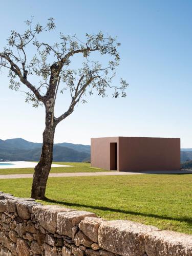 a tree in a field next to a stone wall at Casa Noronha Lima - Historic Stay in Alvarenga