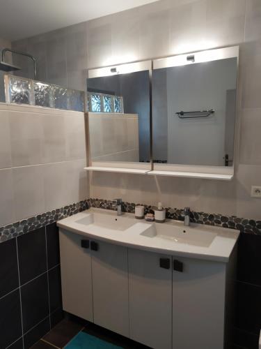 a bathroom with a white sink and a mirror at Location Meublée La Teste in La Teste-de-Buch