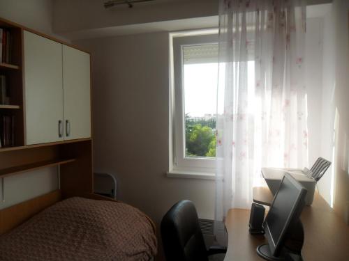 Apartment Pavo