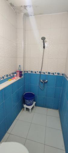 a bathroom with a shower with a toilet in it at Casa Lotfi 1 in Chefchaouene