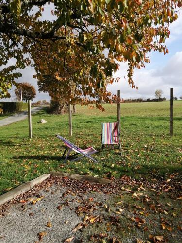 a chair sitting on the grass under a tree at Vendrennes Chez Florymarysol in Vendrennes