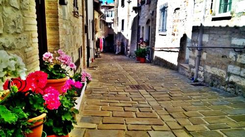 an alley with flowers on the side of a building at La casetta de la Rocca in Gualdo Tadino