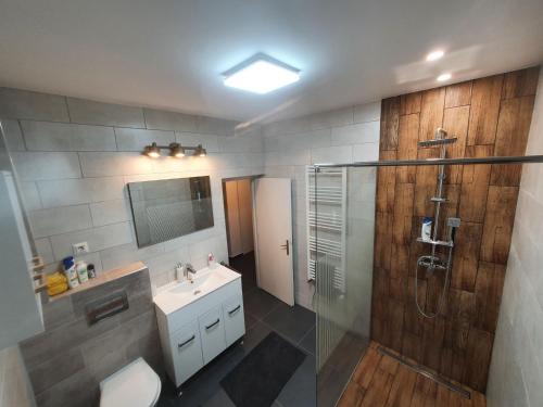 een badkamer met een douche, een wastafel en een toilet bij Andrea apartman in Sfântu-Gheorghe