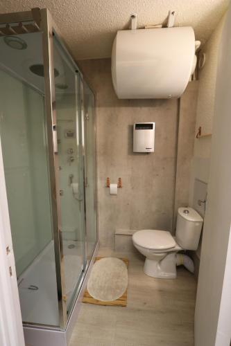 une salle de bain avec toilettes et douche en verre dans l'établissement Risoul superbe appartement pieds des pistes, à Risoul