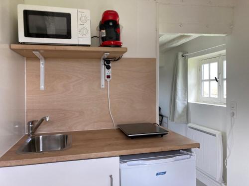 eine kleine Küche mit einer Spüle und einer Mikrowelle in der Unterkunft Tiny house du Haras Cour Lozey in Sainte-Marguerite-des-Loges