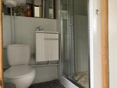La salle de bains est pourvue d'une douche et de toilettes. dans l'établissement Tiny house du Haras Cour Lozey, à Sainte-Marguerite-des-Loges