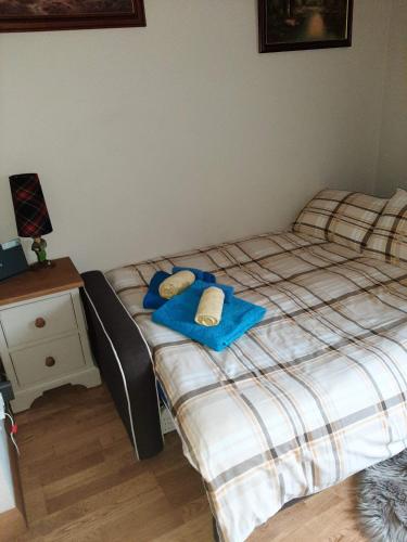 Postel nebo postele na pokoji v ubytování Cosy Ness Escape, 16B Ardconnel Street