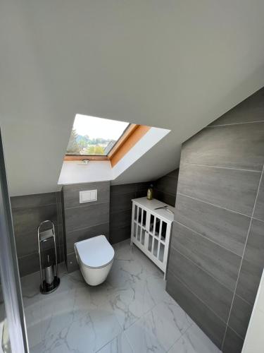 a bathroom with a toilet and a skylight at Die Loft in Kemnath