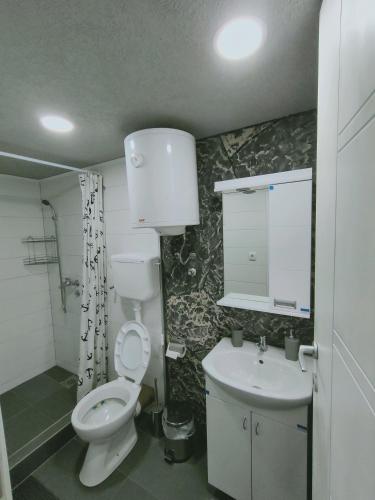 a bathroom with a toilet and a sink at Drinska laguna in Banja Koviljača