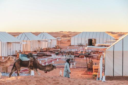 Człowiek stojący na pustyni z wielbłądem i budynkami w obiekcie I Sahara Camp w mieście Merzouga