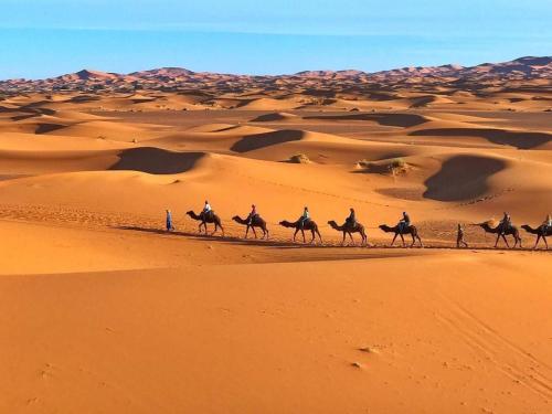 grupa ludzi jeżdżących na wielbłądach na pustyni w obiekcie I Sahara Camp w mieście Merzouga