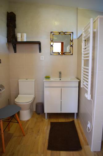 a bathroom with a toilet and a sink and a mirror at la casa gastounette in Maiorca