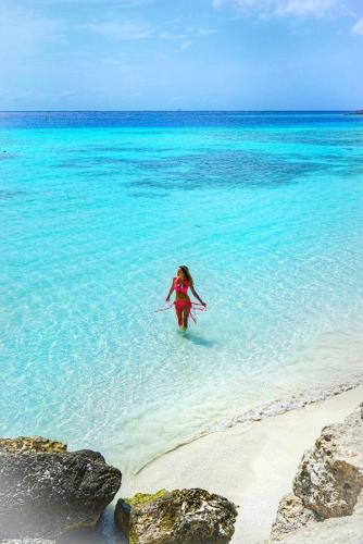 a woman walking in the water on a beach at Beachfront Bella Horizonte 4 in Savaneta