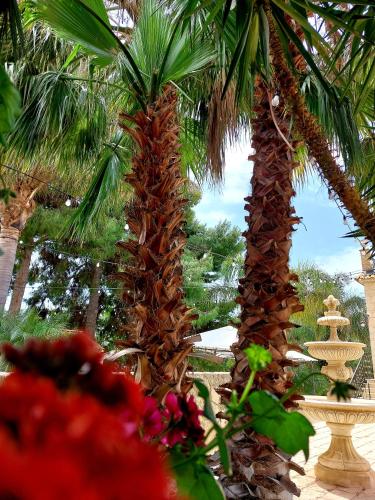 two palm trees standing next to each other at Tenuta Costa in Palma di Montechiaro