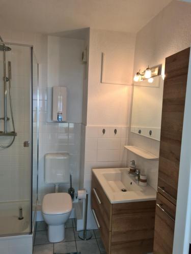 a bathroom with a toilet and a sink and a shower at Lütt Moor in Nordstrand