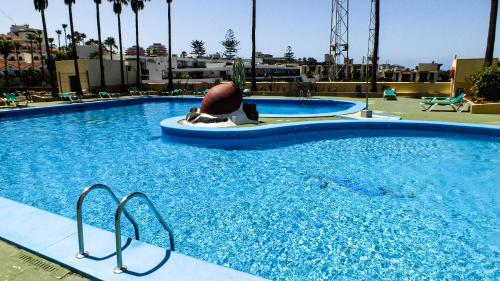 una grande piscina con una persona seduta su un galleggiante in acqua di Harmony Apartments ad Arona