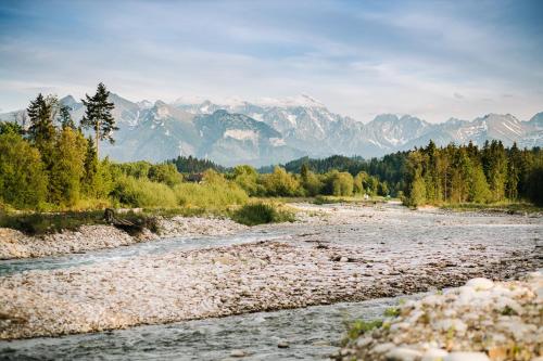 a river with trees and mountains in the background at Panocek i Babka in Białka Tatrzanska