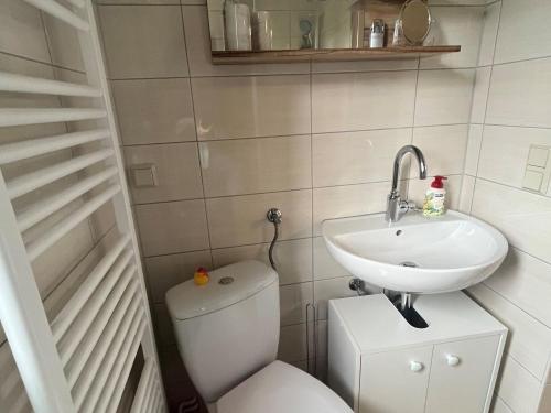 een kleine badkamer met een toilet en een wastafel bij Luxury villa in Tinjan with private pool in Harzgerode