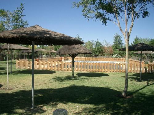 Κήπος έξω από το Camping La Aldea