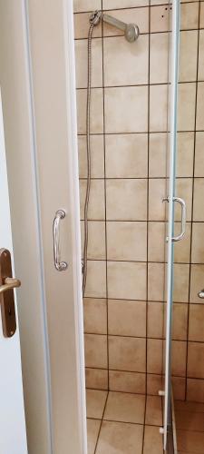 a shower in a bathroom with a glass door at Skardamoula's Studios n Apartments in Kardamili
