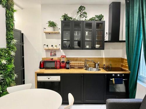 - une cuisine avec des placards noirs et un évier dans l'établissement Haut Standing proche gare, à Rouen