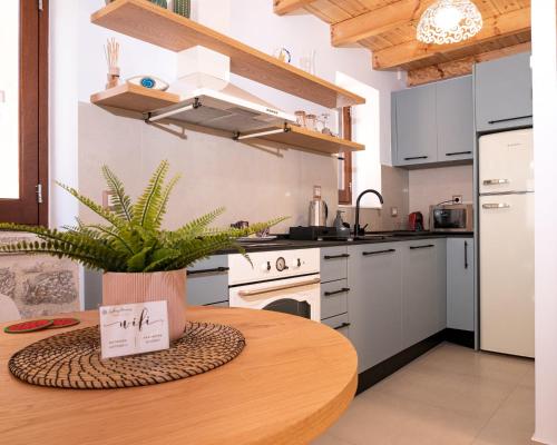 uma cozinha com uma mesa com um vaso de plantas em Captain's Memories Stylish Harbour Apartments em Halki