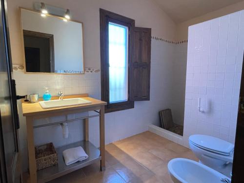 a bathroom with a sink and a toilet and a mirror at Casa Ramoncico. Finca el Campillo in Blanca