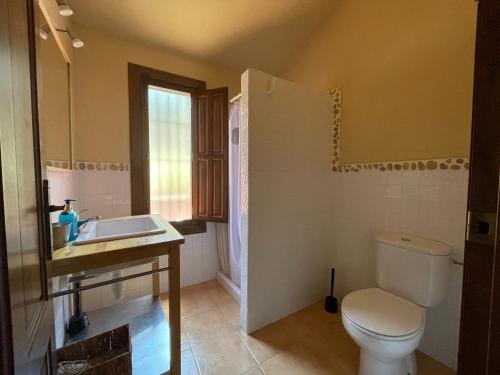 a bathroom with a toilet and a sink at Casa Ramoncico. Finca el Campillo in Blanca