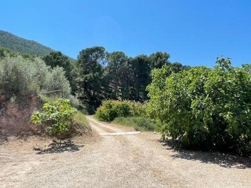 a dirt road with bushes and trees on it at Casa Ramoncico. Finca el Campillo in Blanca