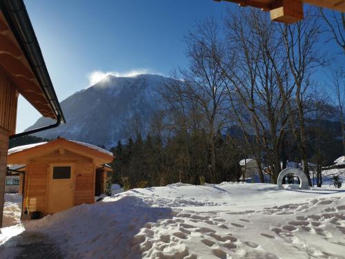 a snow covered house with a mountain in the background at Chalet Tauplitz in Tauplitz