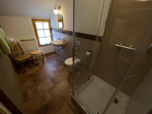 a bathroom with a shower and a toilet and a sink at Scheunenherberge Schäfchenzählerei in Burg