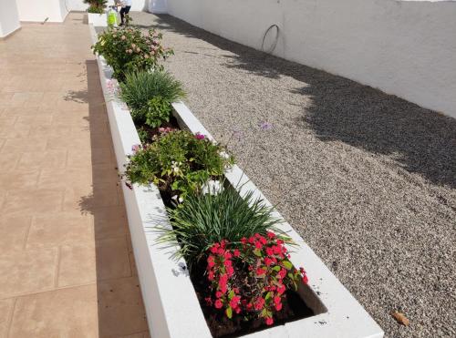 a row of plants in a planter with flowers at Maria Apartments in Pefki Rhodes