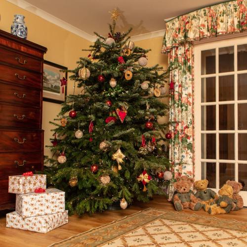 a christmas tree in a living room with a presents at Balnagown Estates in Kildary