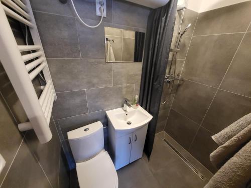 La salle de bains est pourvue de toilettes, d'un lavabo et d'une douche. dans l'établissement Chata Olina, à Oravice