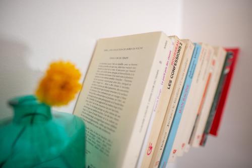 un vase avec une fleur à côté des livres dans l'établissement Charmant Studio au coeur de Jaurès, à Belfort