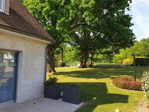 une cour avec un grand arbre et une maison dans l'établissement LES DRYADES MILLY, à Milly-la-Forêt