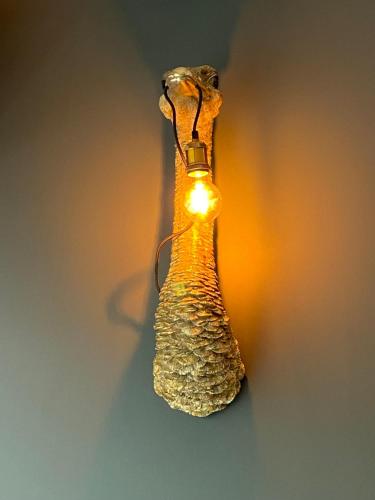 a light that is hanging from a wall at Hôtel Paulette Rouen Centre Cathédrale in Rouen