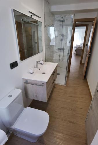 a bathroom with a toilet and a sink and a shower at Apartamentos Casa do Pan in Corme-Puerto