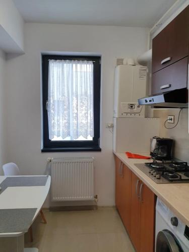 una cucina con fornelli e finestra di Studio Camy a Mamaia Nord - Năvodari