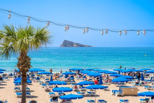 a beach with chairs and blue umbrellas and a palm tree at Los Ranchos in Benidorm