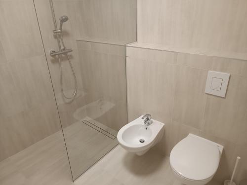 e bagno con doccia, servizi igienici e lavandino. di DALGONA apartma Godler, Podčetrtek a Podcetrtek