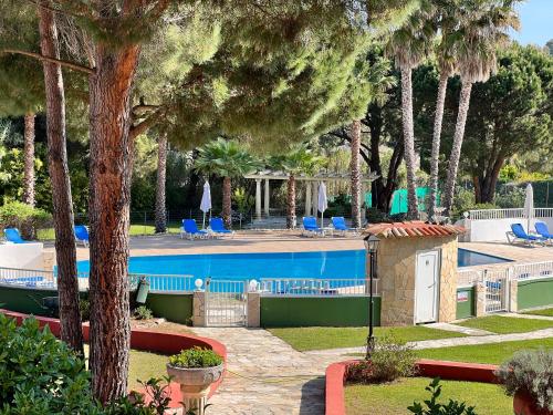 una piscina con palmeras y sillas azules en Hotel La Romarine, en Saint-Tropez