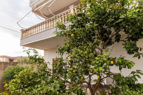 an orange tree in front of a building at Villa The Old Bakery in Qeparo