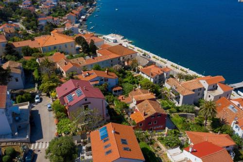 Apartments Delfin