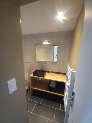 une salle de bain avec un lavabo et un miroir dans l'établissement Une petite maison et sa prairie, à Villefargeau