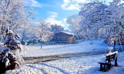 Gallery image of Chalet Vacanze Il Daino in Leonessa