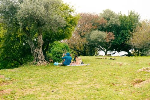 a group of people sitting in the grass under a tree at Parod Country Lodge in Parod